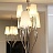 Ipe cavalli Brunilde Chandelier 3 плафона  фото 3