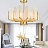 Ritz Fern Chandelier 60 см   фото 7